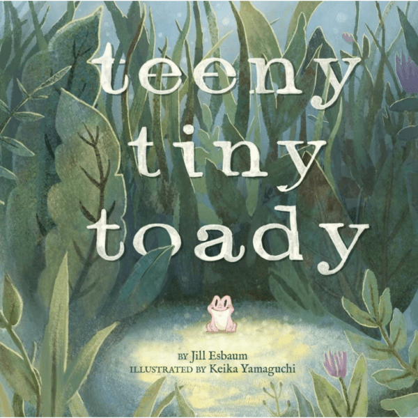 teeny tiny toady