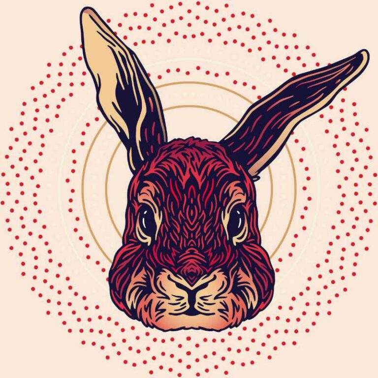 rabbit zodiac